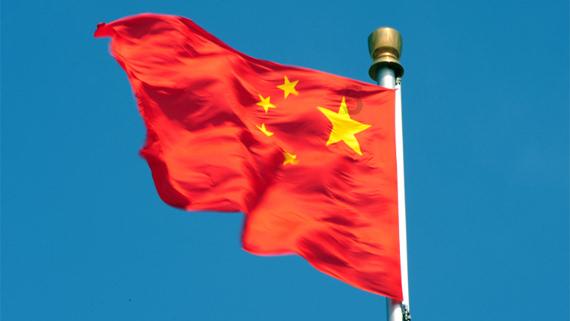 小僵尸射飞鸟